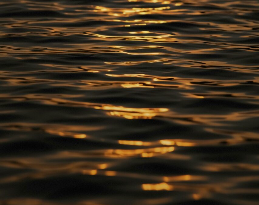 We Were Never in a World