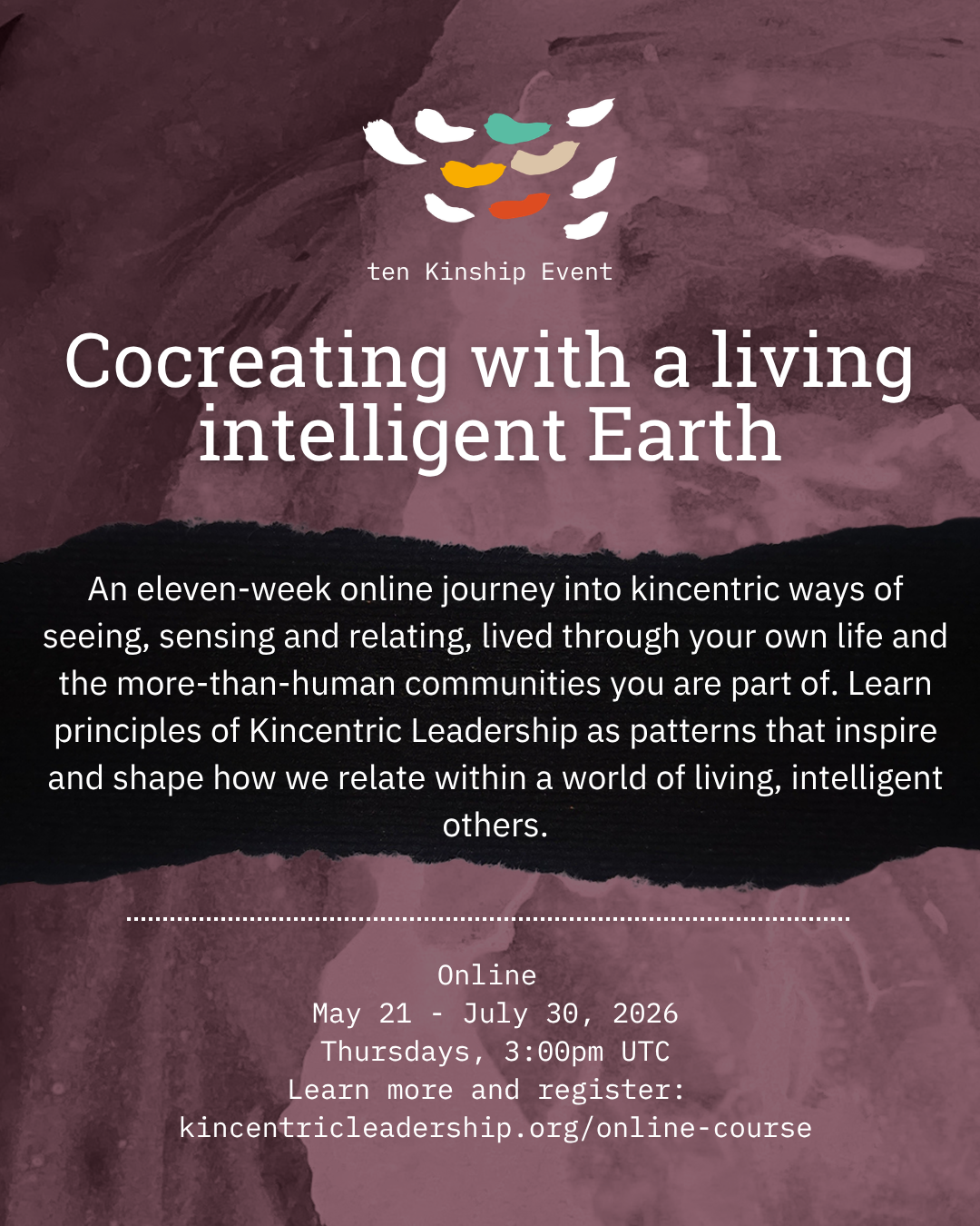 Cocreating With a Living Intelligent Earth